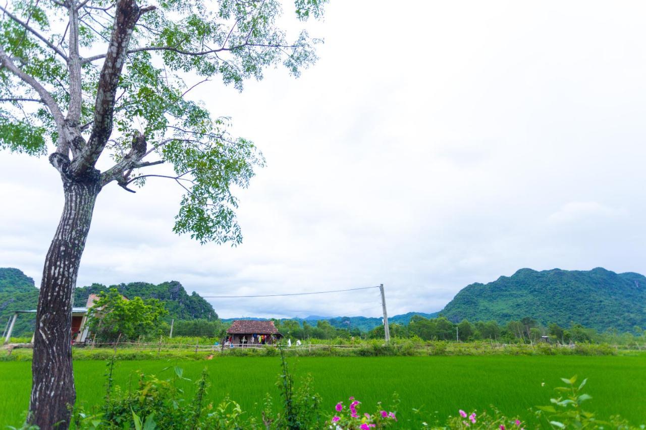 Pomelo Homestay Phong Nha Eksteriør bilde