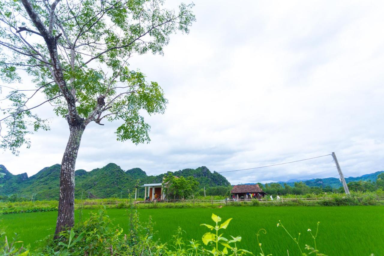 Pomelo Homestay Phong Nha Eksteriør bilde
