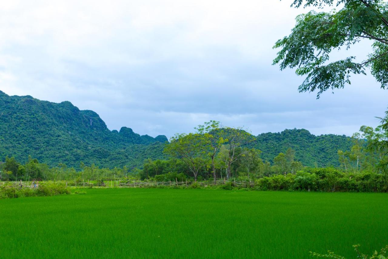 Pomelo Homestay Phong Nha Eksteriør bilde