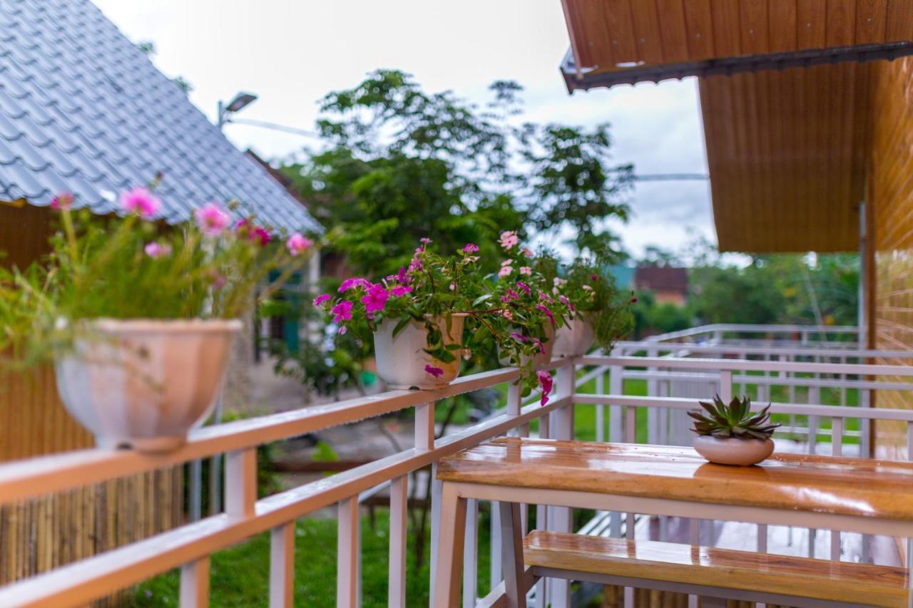 Pomelo Homestay Phong Nha Eksteriør bilde