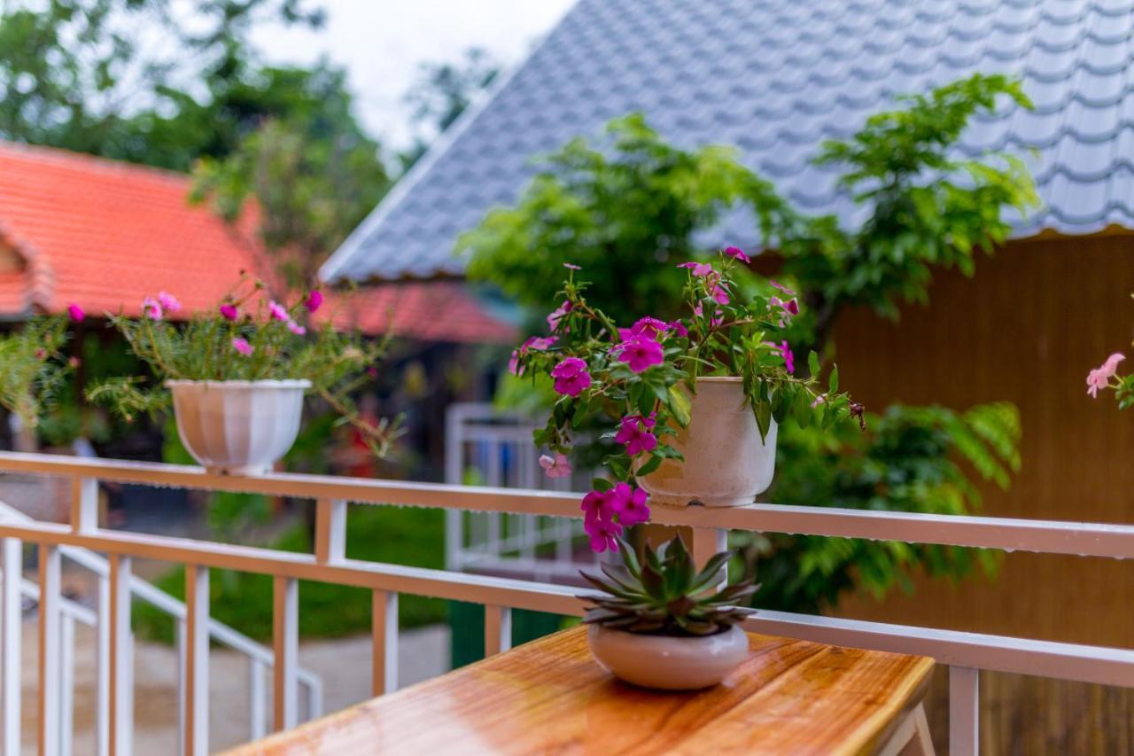 Pomelo Homestay Phong Nha Eksteriør bilde
