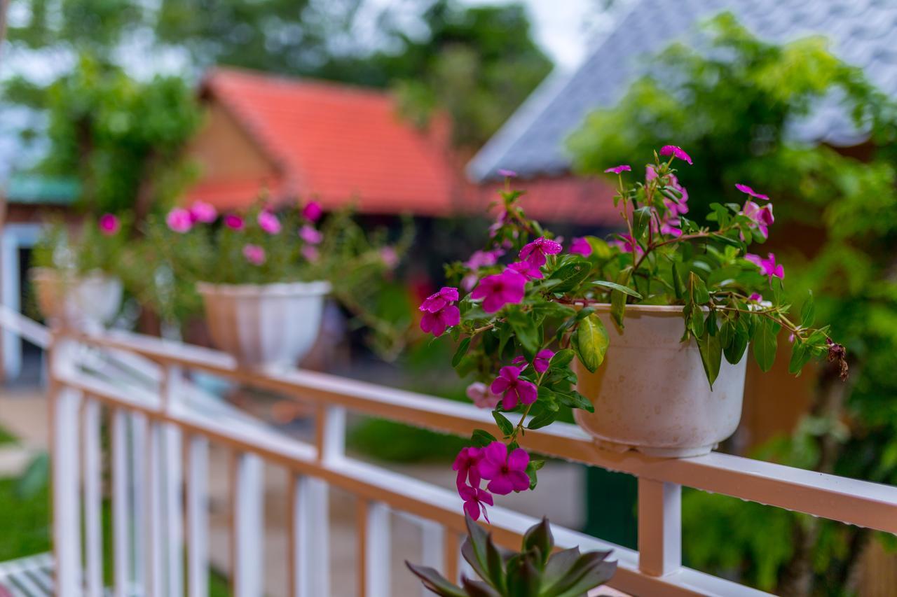 Pomelo Homestay Phong Nha Eksteriør bilde