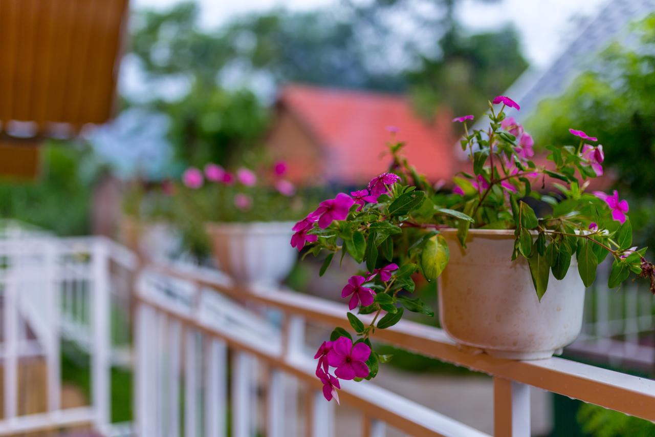 Pomelo Homestay Phong Nha Eksteriør bilde