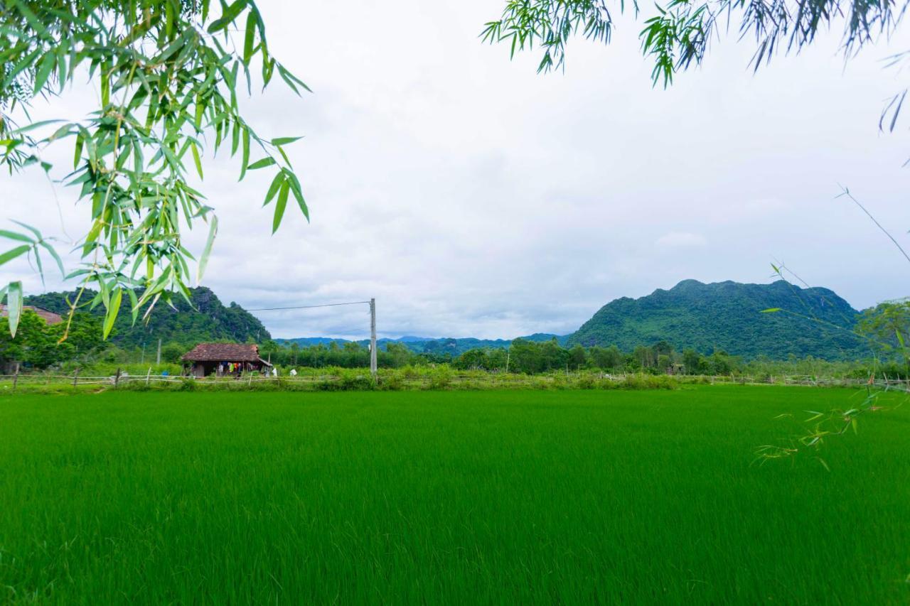 Pomelo Homestay Phong Nha Eksteriør bilde